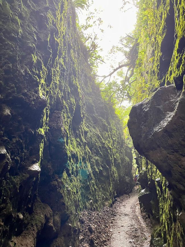 Reserva Natural Volcán Mombacho