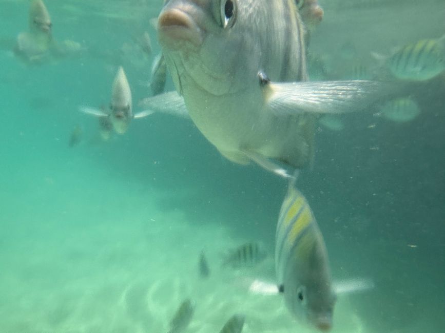 Da ist der Geburtstag 