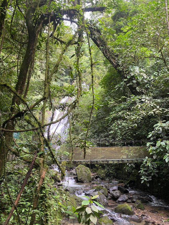 Panama 🇵🇦 🌴