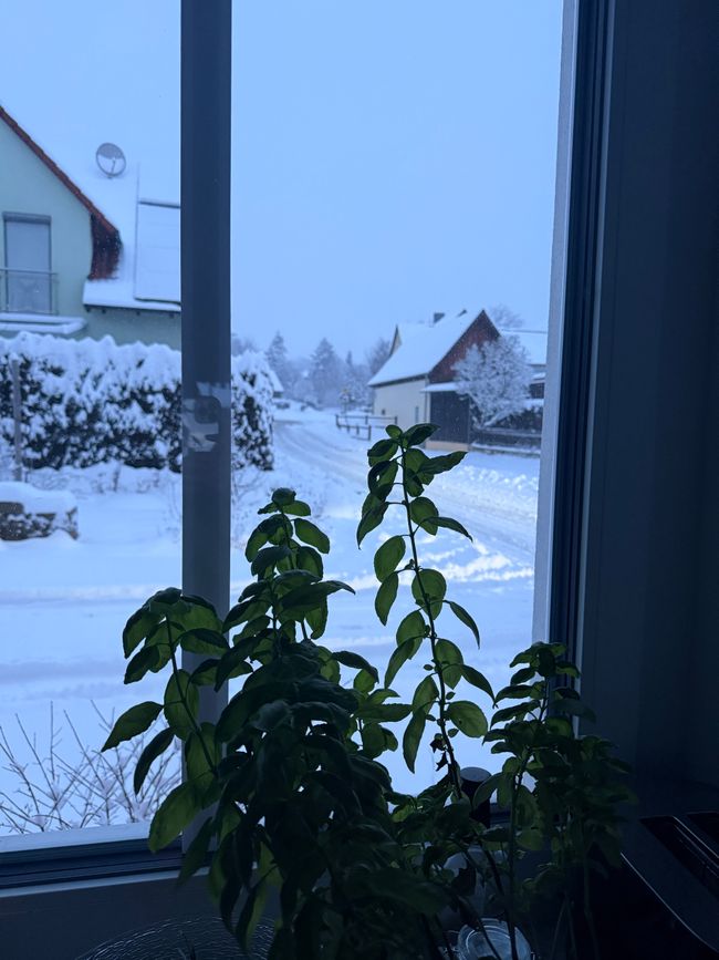 Inizio dell'inverno ❄️/ Inizio dell'inverno ❄️