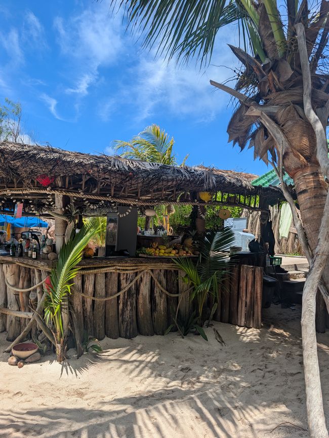 Balade à vélo spéciale dans le paradis🚲🌴