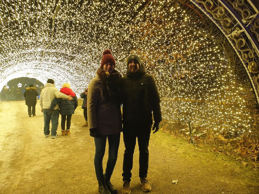 Dazzling Nights Pittsburgh Botanic Garden