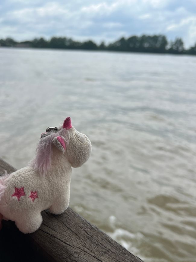 Tag 10 - Ho-Chi-Minh-City: Il Delta del Mekong e la speranza del sogno scintillante