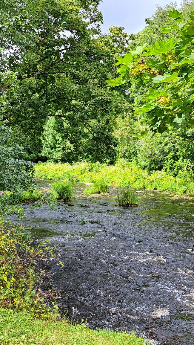 By the river