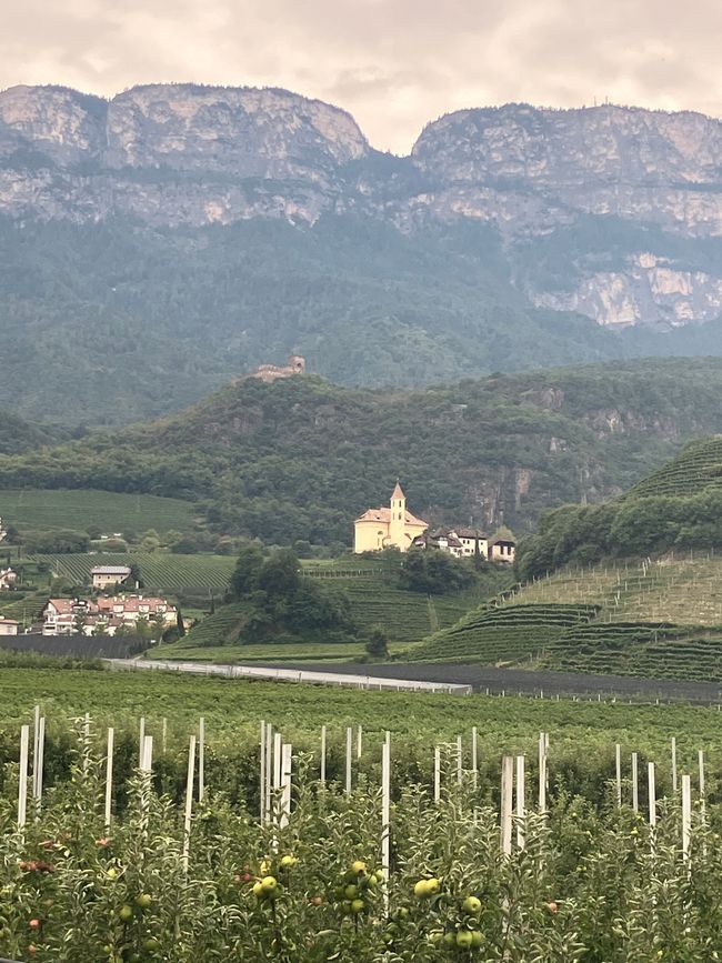 Blick zur Eppanburg