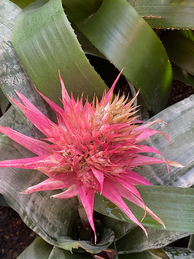 Immer wieder Unbekanntes