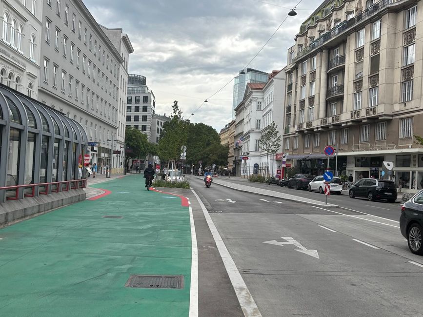 Viena