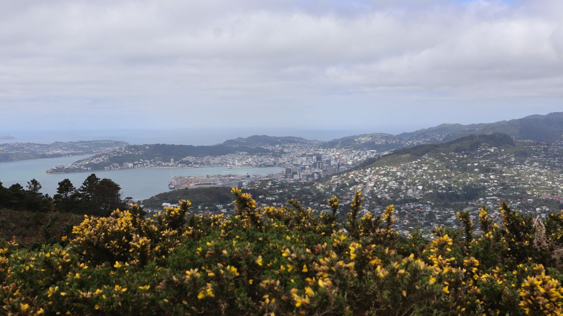 Wellington