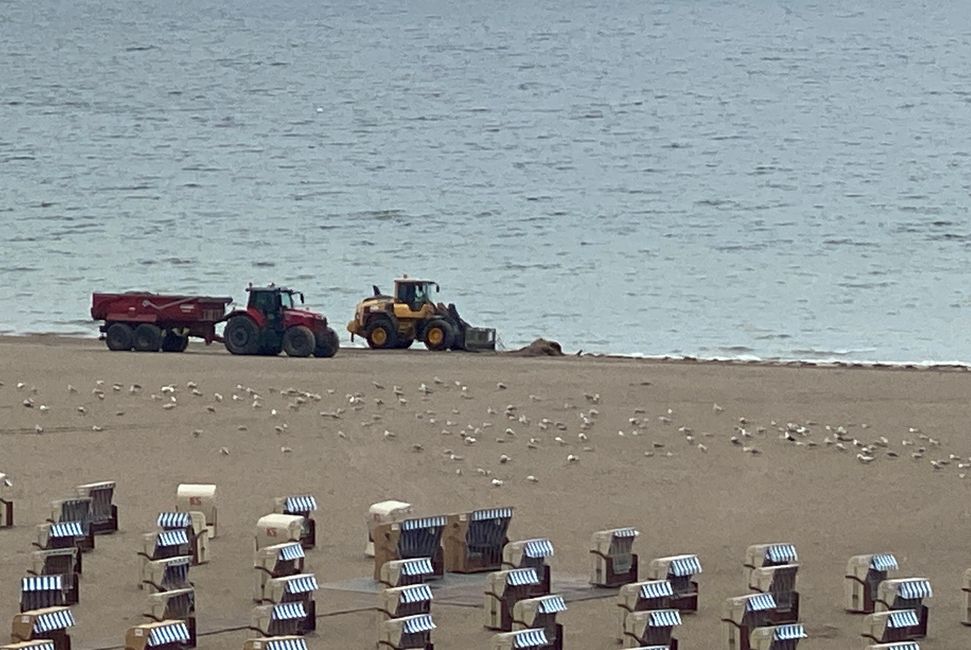 Aufräumen am Strand um 7 Uhr - da ist der Strand fast leer
