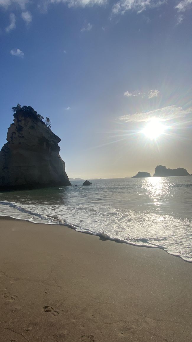 Coromandel loop
