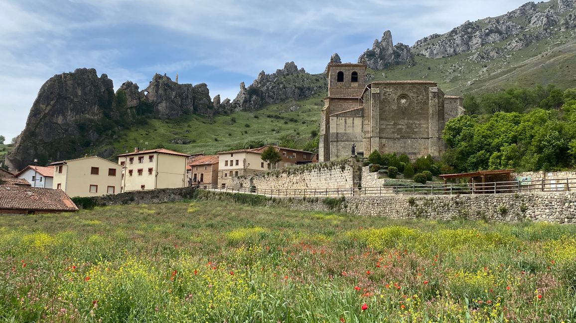 PANCORBO