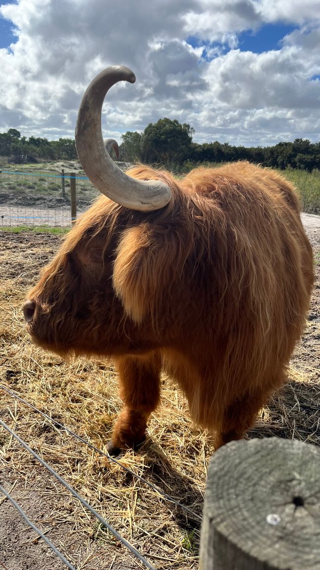 Parc des oiseaux et des animaux d'Esperance