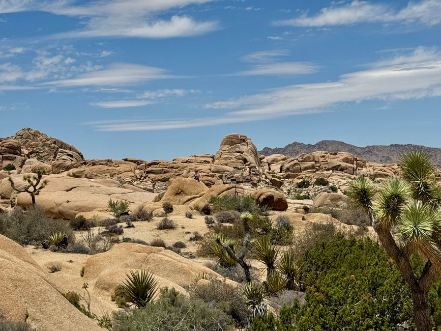 Joshua Tree National Park – Arch Rock & Skull Rock
