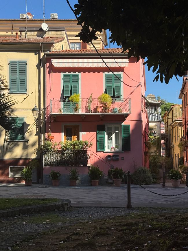Sarzana