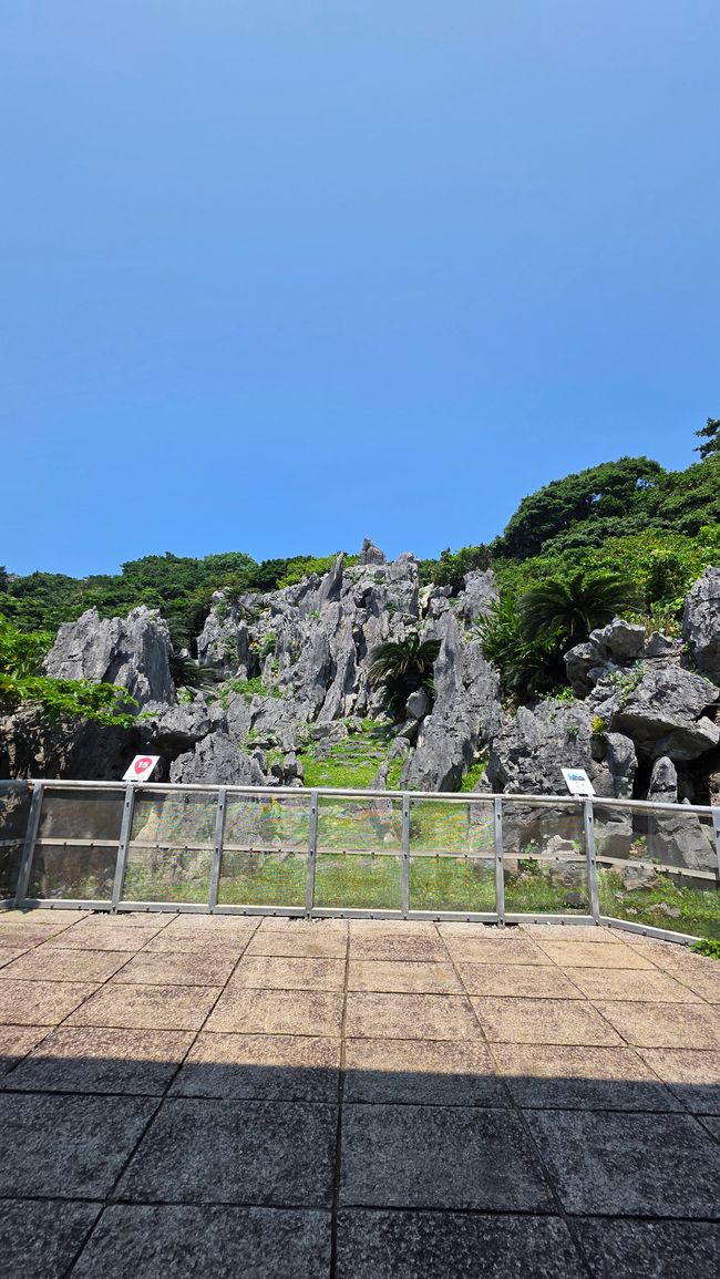 Okinawa Nuchi du takara (La vita è ciò che ci sta a cuore)