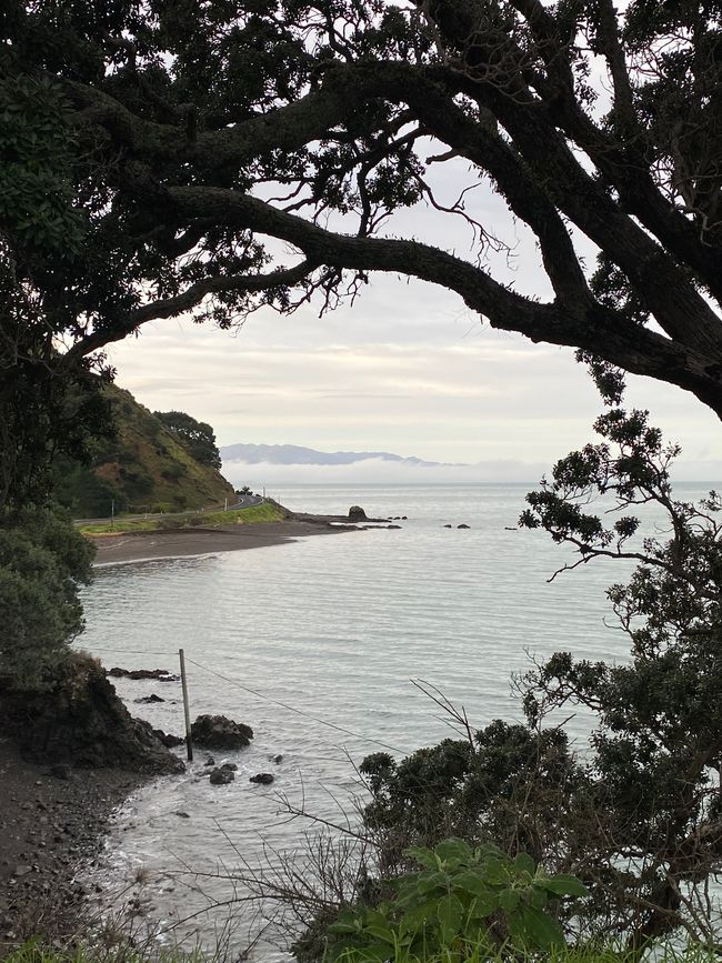 Coromandel loop