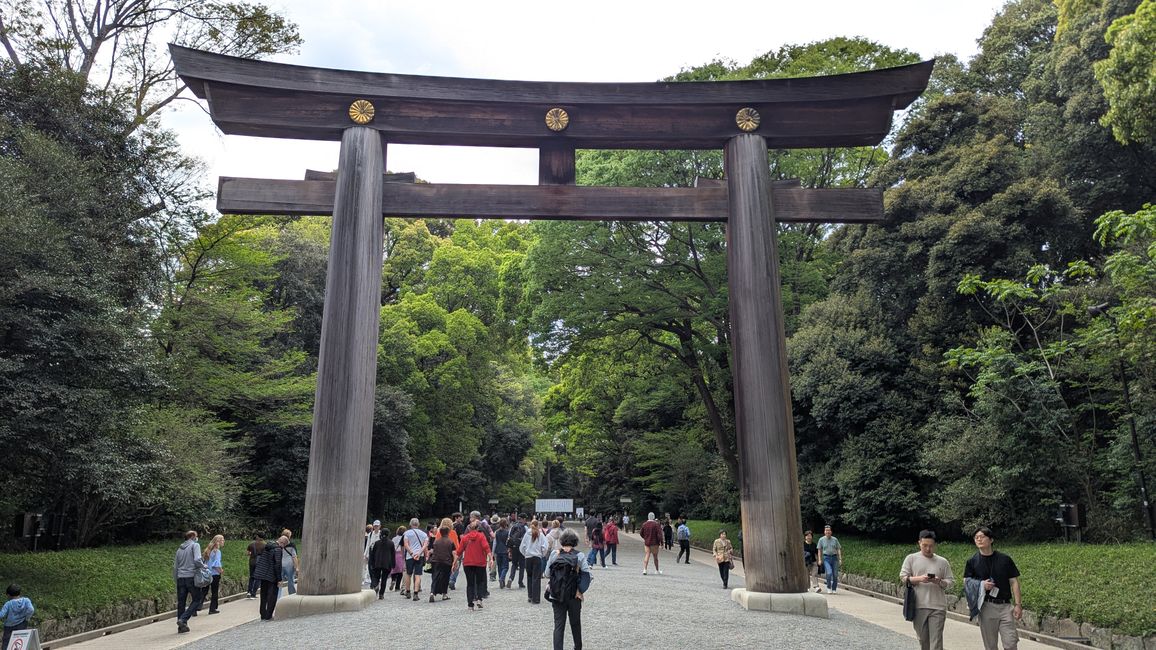 Sightseeing in Shibuya und Shinjuku