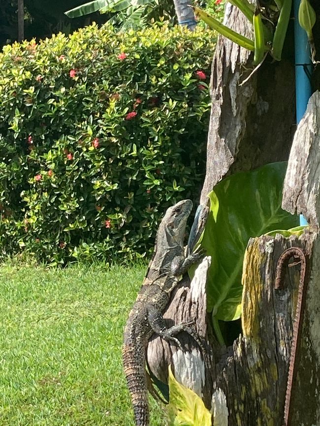Nel paradiso