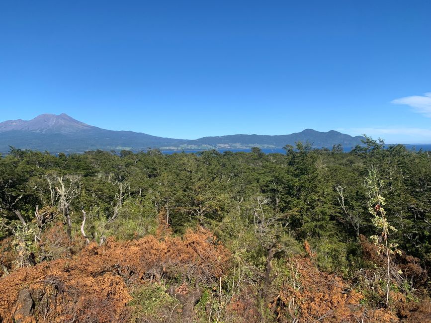 Trip nach Patagonien Teil 2: Puerto Montt bis Hornopirén