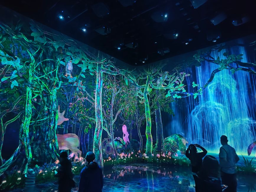 Pokémon in Real Life: der Collecting Forest