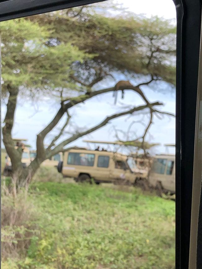 Viaggio da sogno in Tanzania