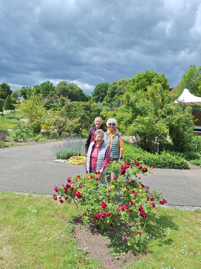 Radeln zum Rosengarten