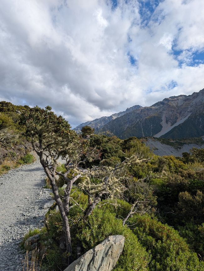 Nature is what we see...