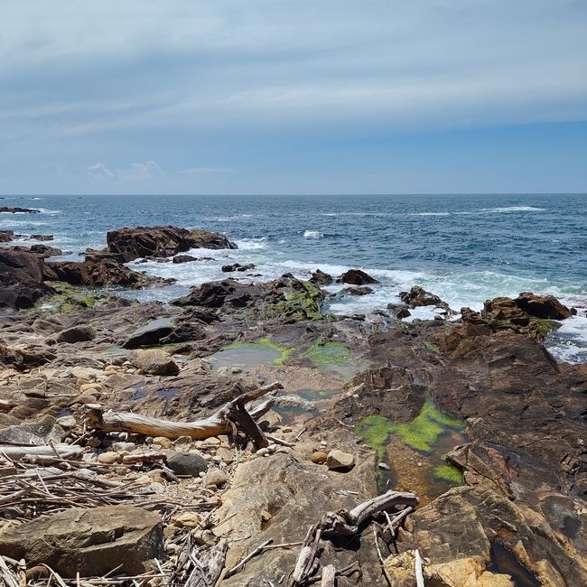 Porto -> Mar