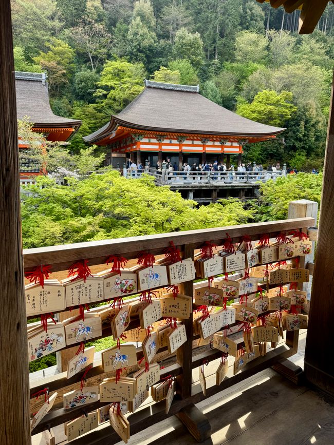 Part 8 Japan 🇯🇵 Kanazawa