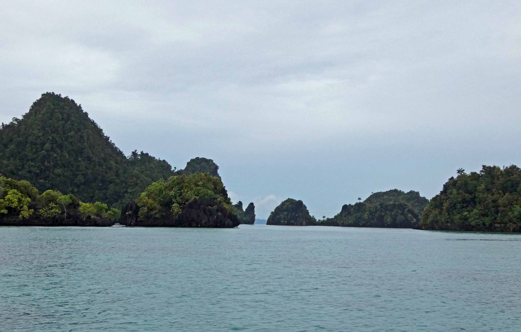 Misool, Nuova Guinea occidentale, Indonesia, escursione in Zodiac