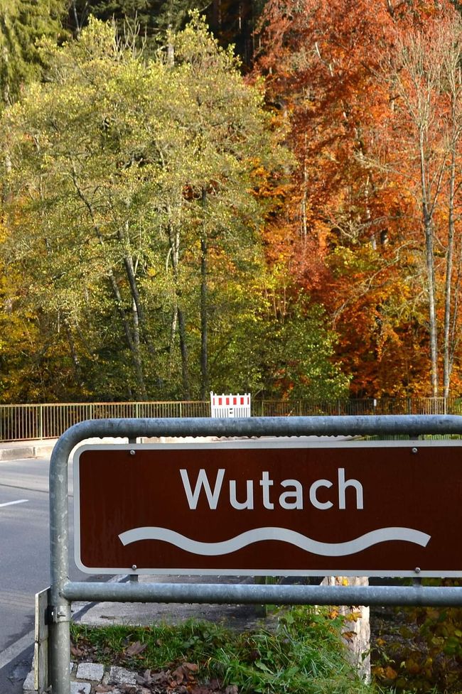 Autumn hiking in the Wutach Gorge: Red, yellow, orange... and you're right in the middle!