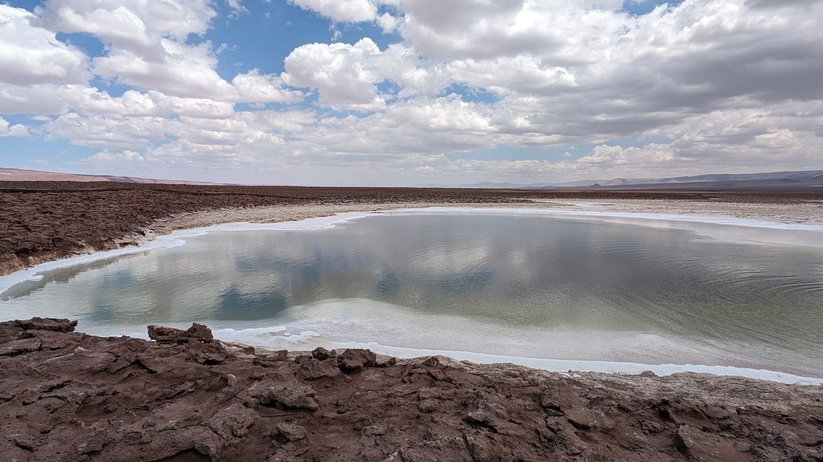 Valle de la Luna und Laguna Baltinache