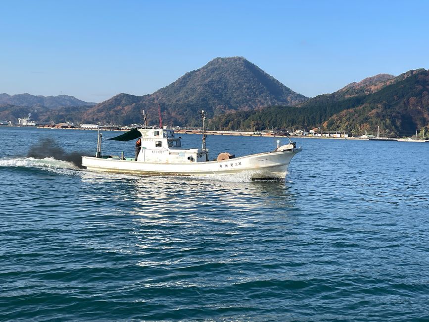 30.Kapitel: Adler über Maizuru oder genug ist vielleicht mal genug