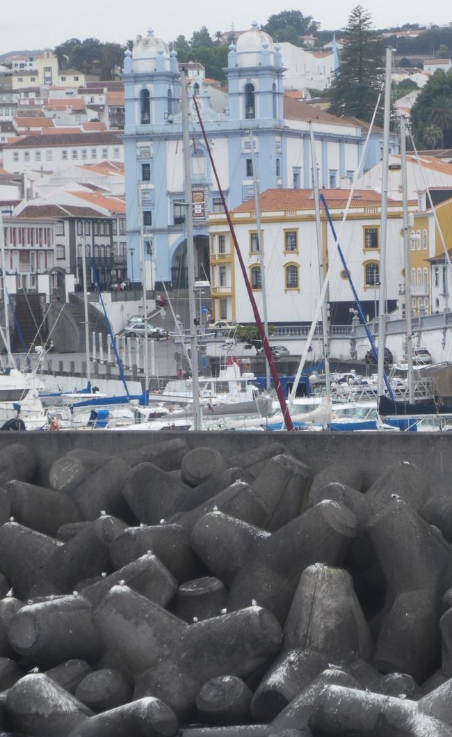 Jede Mövenpick ein Schiss 