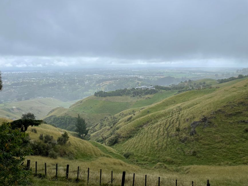 On to Martinborough & more wine