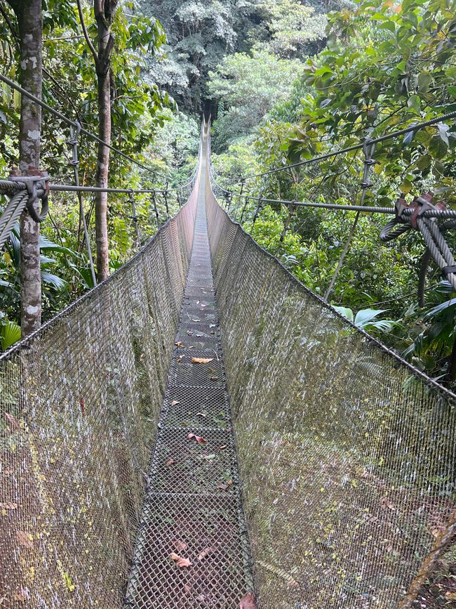 Pura Vida Costa Rica