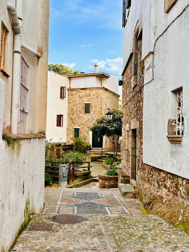 Estamos bien, ¡gracias! 
Carretera costera de Sant Feliu de Guíxols a Tossa de Mar