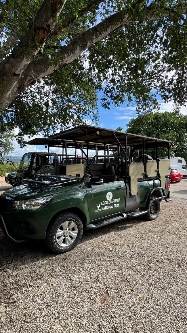 Addo Nationalpark