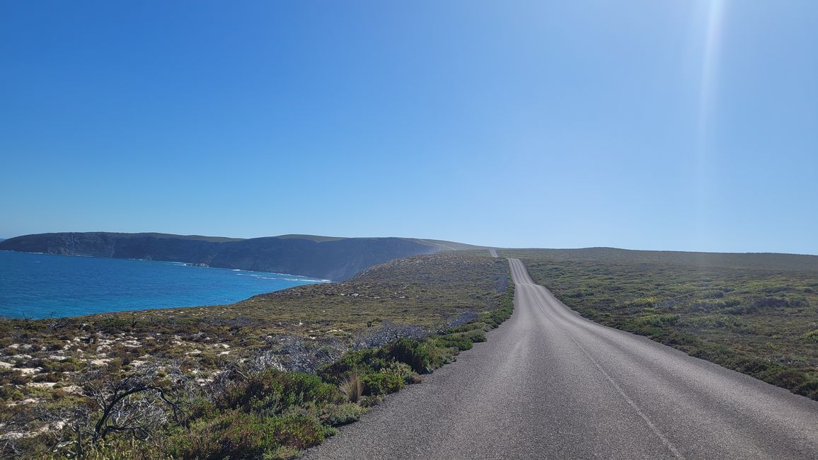 Kangaroo Island with Baby M.