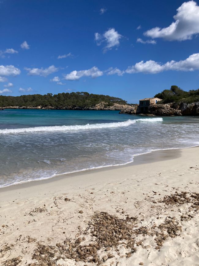 Cala Mondrago-es wird angebadet