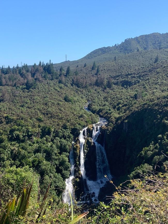 Aus Versehen entdeckt...Schöner Wasserfall irgendwo zwischen Taupo und Napier