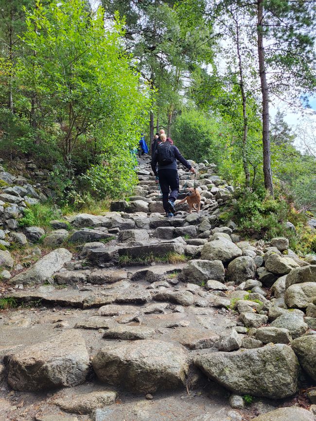 Days 5 and 6 - via Stavanger to the Preikestolen Campsite