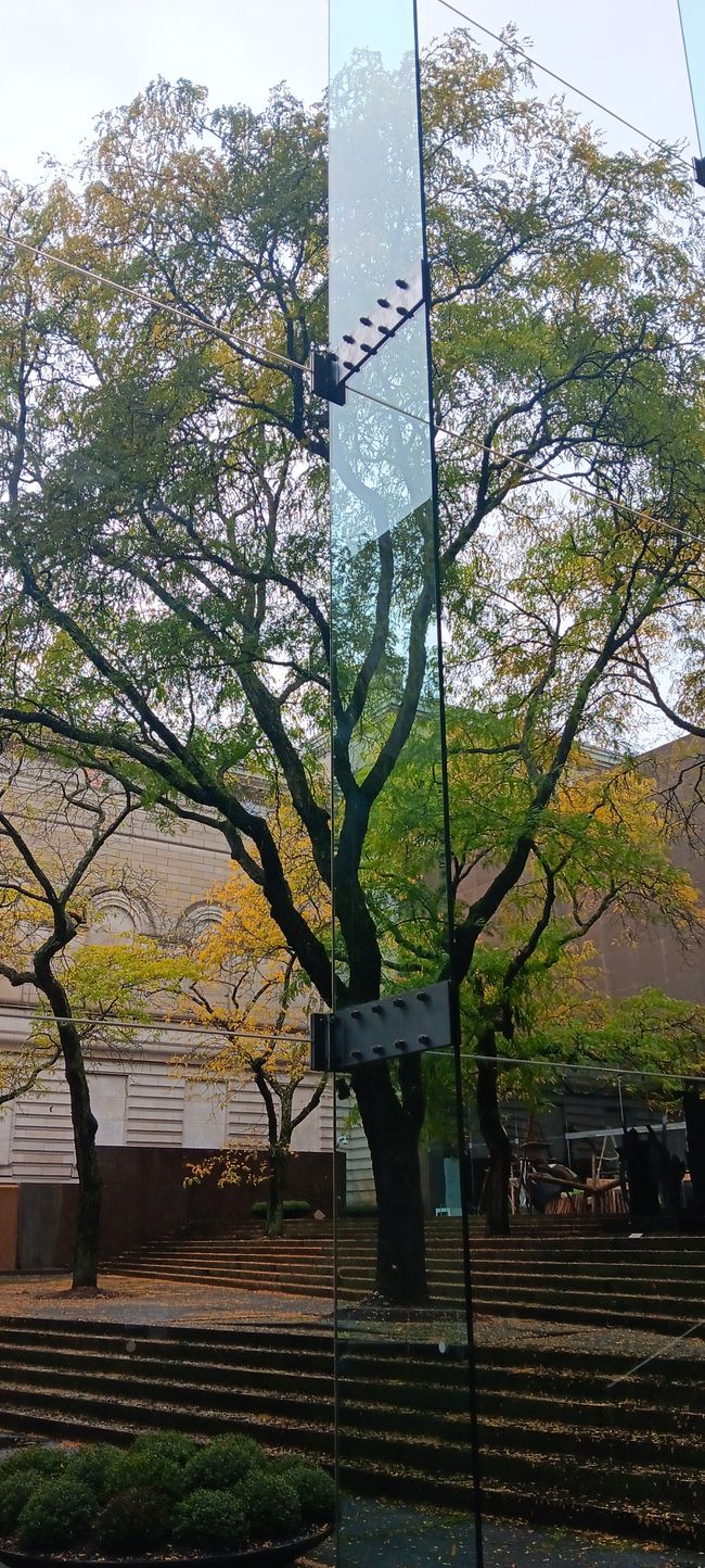 Museum of Natural History I