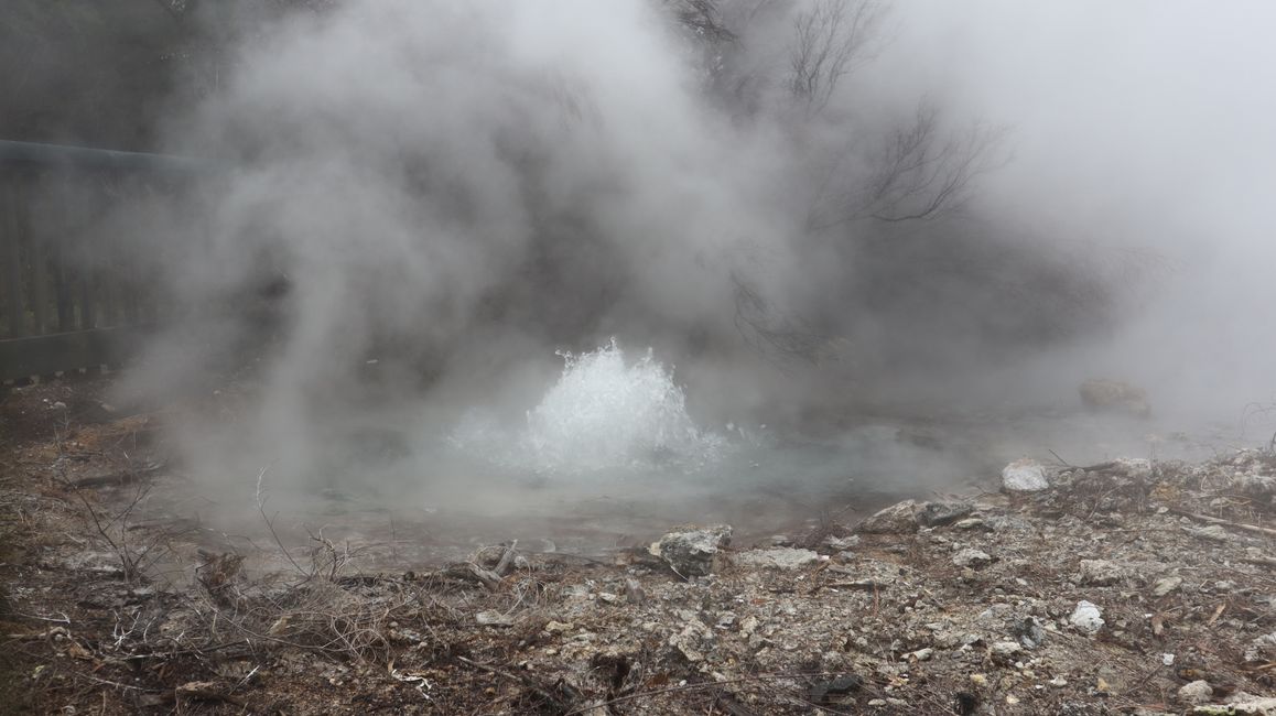 Das heiße Wasser sprudelt aus einer geothermalen Quelle im Kuirau Park