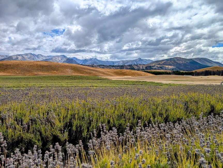 Nature is what we see...