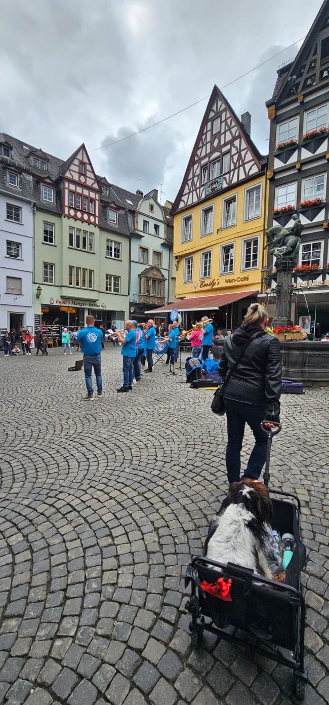 Cochem sul Mosella