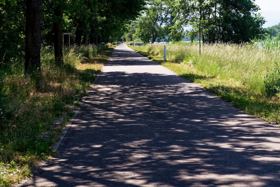 Lungo il Reno in bicicletta