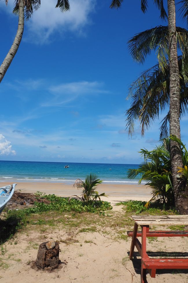 🇲🇾 Tioman🏖️Iceland (in the east of Malaysia) and why everything suddenly turns out differently than planned..