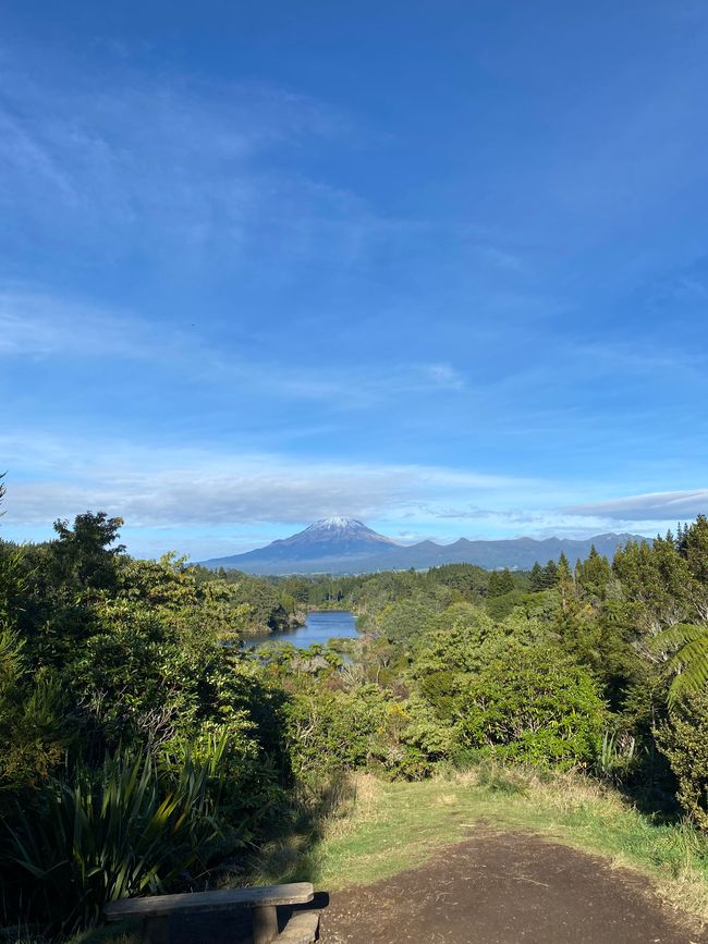 Mt. Taranaki im Hitergrund