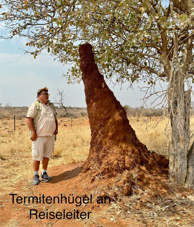 Etosha - wir kommen!